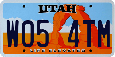 UT license plate W054TM