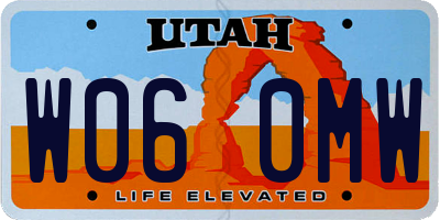 UT license plate W060MW
