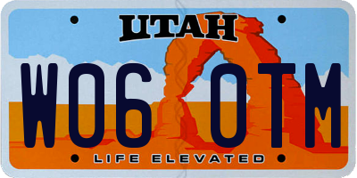 UT license plate W060TM