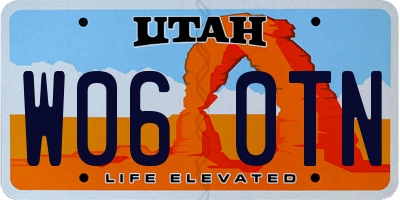 UT license plate W060TN