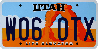 UT license plate W060TX