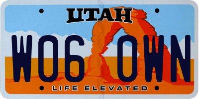 UT license plate W060WN