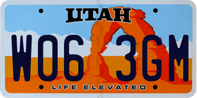 UT license plate W063GM
