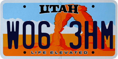 UT license plate W063HM