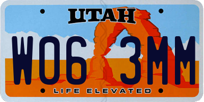 UT license plate W063MM