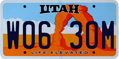 UT license plate W063OM
