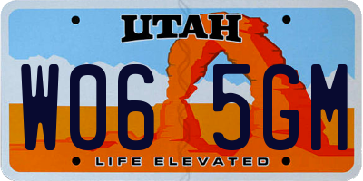 UT license plate W065GM
