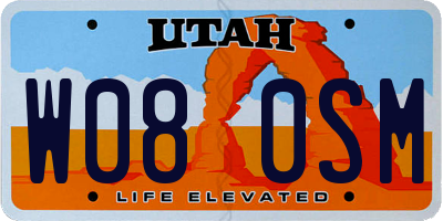 UT license plate W080SM