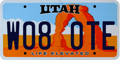 UT license plate W080TE