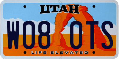 UT license plate W080TS
