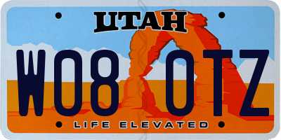 UT license plate W080TZ