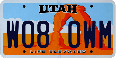 UT license plate W080WM