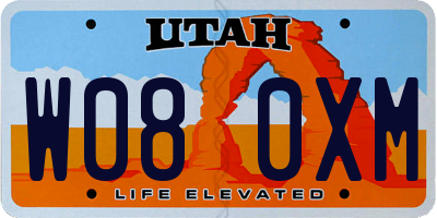 UT license plate W080XM