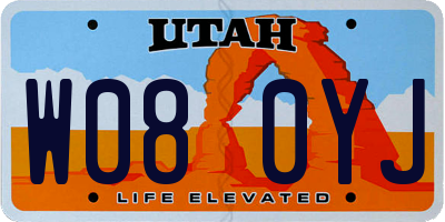 UT license plate W080YJ