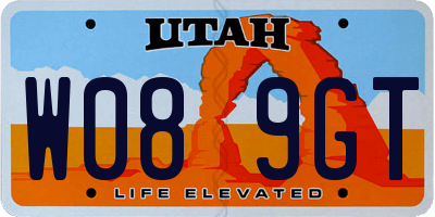 UT license plate W089GT