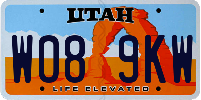 UT license plate W089KW