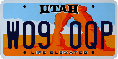 UT license plate W090QP