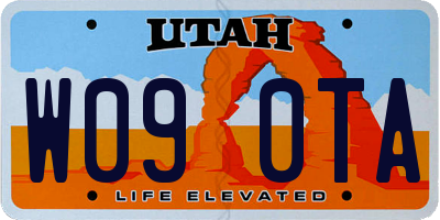 UT license plate W090TA