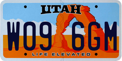 UT license plate W096GM