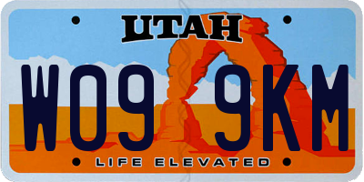 UT license plate W099KM