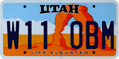 UT license plate W110BM