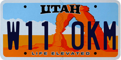 UT license plate W110KM