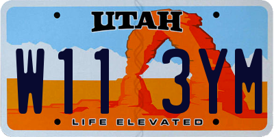 UT license plate W113YM
