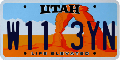 UT license plate W113YN