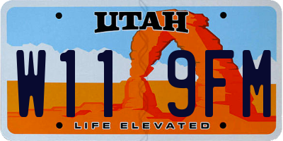 UT license plate W119FM