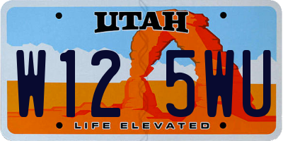 UT license plate W125WU