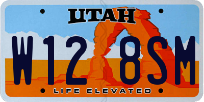 UT license plate W128SM