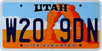 UT license plate W209DN