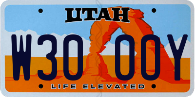 UT license plate W300OY