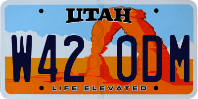 UT license plate W420DM