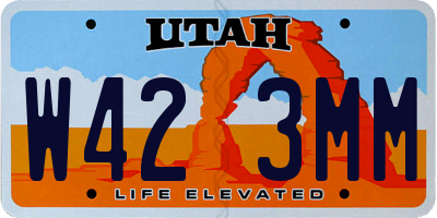 UT license plate W423MM