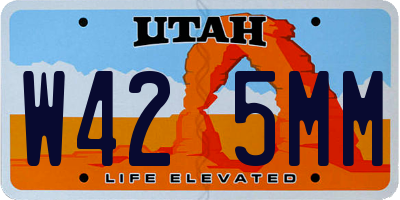 UT license plate W425MM