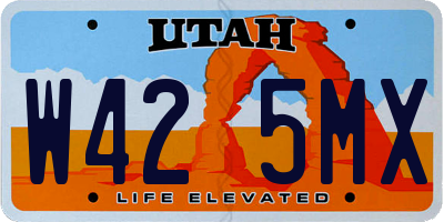 UT license plate W425MX