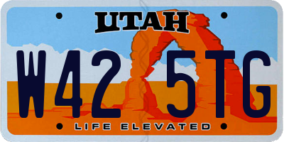 UT license plate W425TG