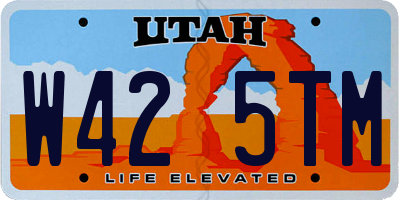 UT license plate W425TM