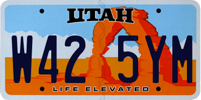 UT license plate W425YM