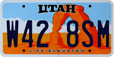 UT license plate W428SM