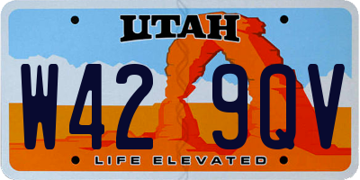 UT license plate W429QV