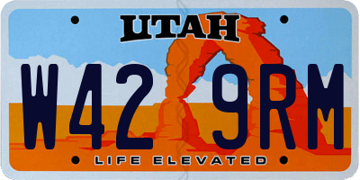 UT license plate W429RM