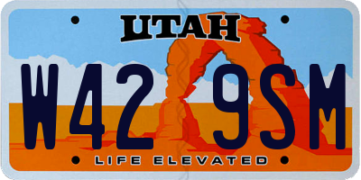 UT license plate W429SM