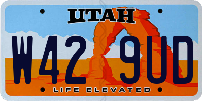 UT license plate W429UD