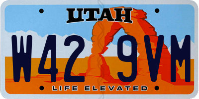UT license plate W429VM