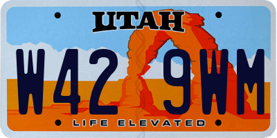 UT license plate W429WM