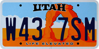 UT license plate W437SM