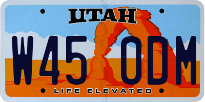 UT license plate W450DM