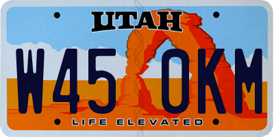 UT license plate W450KM